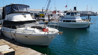 Enlarge photo 25