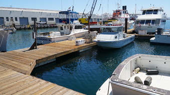 Enlarge photo 27