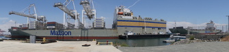 Enlarge photo 49