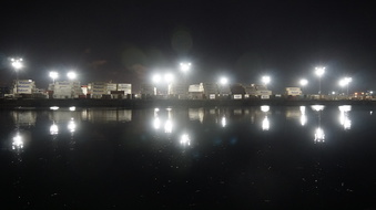 Enlarge photo 307