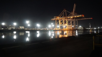Enlarge photo 309