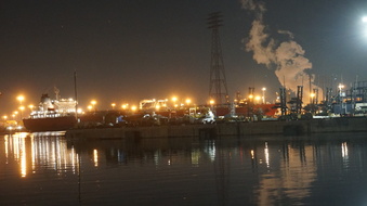 Enlarge photo 310