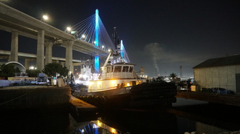 Enlarge photo 328