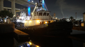 Enlarge photo 329