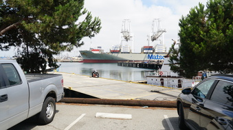 Enlarge photo 110