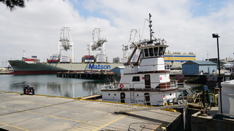 Enlarge photo 113