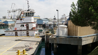 Enlarge photo 114