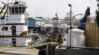Enlarge photo 115