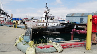 Enlarge photo 133