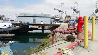 Enlarge photo 134