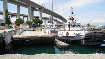 Enlarge photo 135