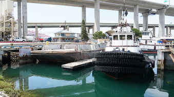 Enlarge photo 139