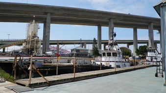 Enlarge photo 141