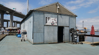 Enlarge photo 145