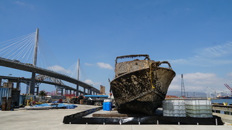 Enlarge photo 217