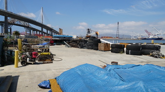 Enlarge photo 228