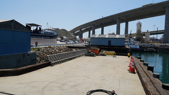 Enlarge photo 241