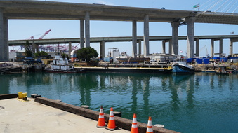 Enlarge photo 243
