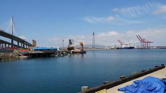 Enlarge photo 246