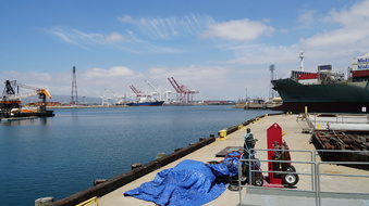 Enlarge photo 247