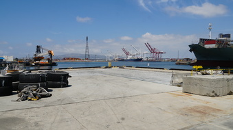 Enlarge photo 270