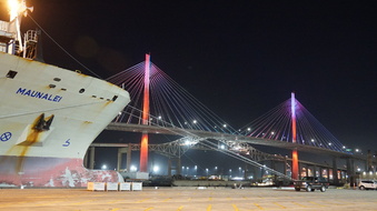 Enlarge photo 93