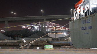 Enlarge photo 111