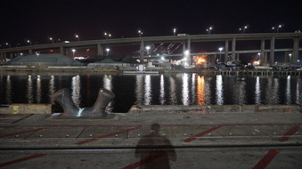 Enlarge photo 164