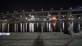 Enlarge photo 168