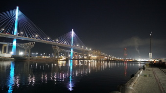 Enlarge photo 217