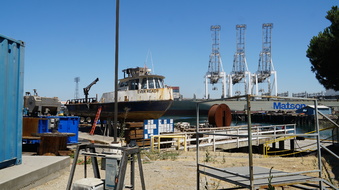 Enlarge photo 33