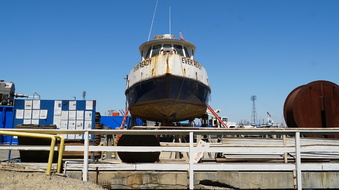 Enlarge photo 41