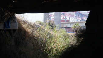 Enlarge photo 26