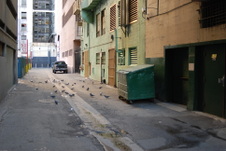 Enlarge photo 20