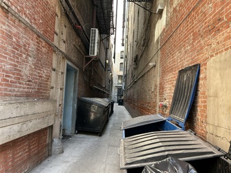 Alley behind The Alexandria