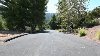 Enlarge photo 36