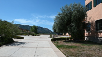 Enlarge photo 9