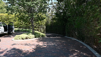 Enlarge photo 45