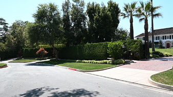 Enlarge photo 49