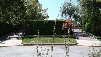 Enlarge photo 46