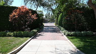 Enlarge photo 47