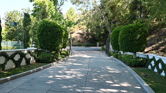 Enlarge photo 6