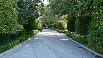 Enlarge photo 8