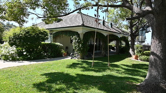 Enlarge photo 62