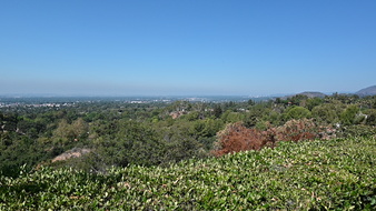 Enlarge photo 66