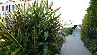 Enlarge photo 45