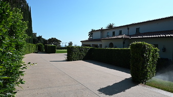 Enlarge photo 20