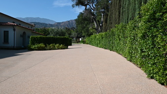 Enlarge photo 21