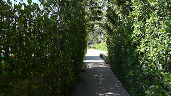 Enlarge photo 29