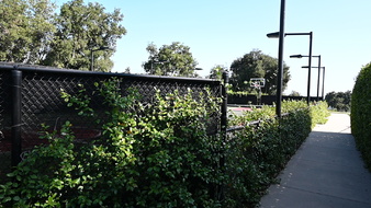 Enlarge photo 30